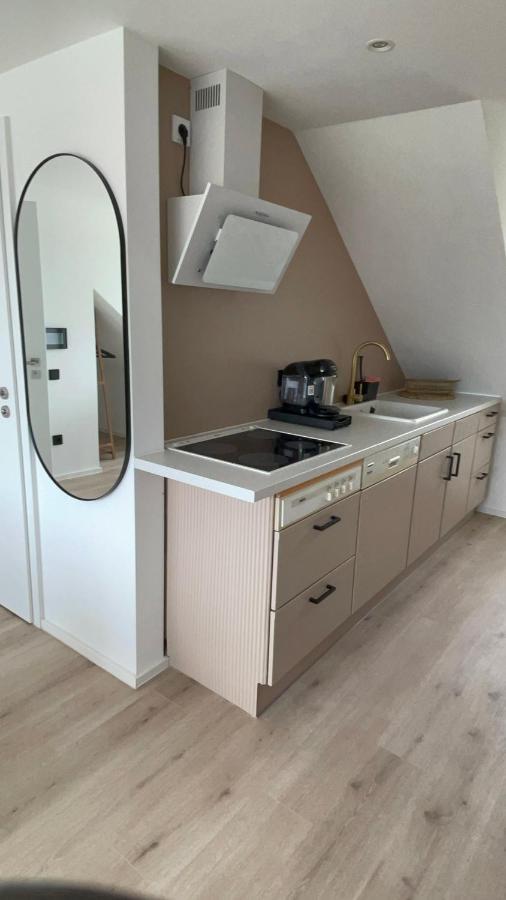 Roemer Apartment Und Zimmer Turkheim Esterno foto